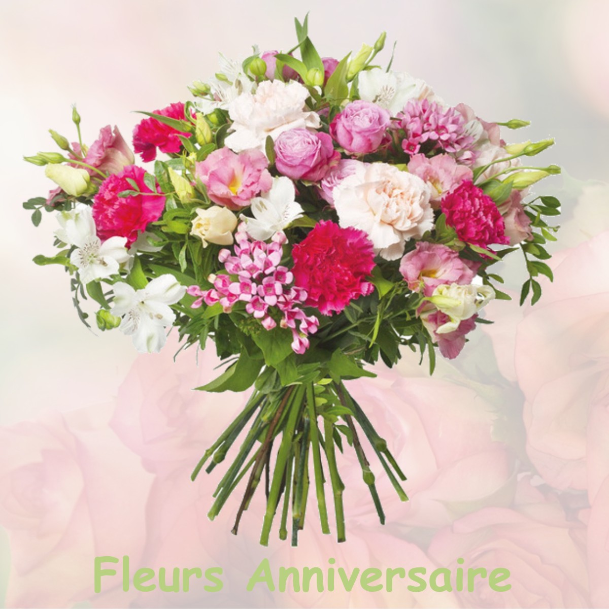 fleurs anniversaire MEJANNES-LES-ALES